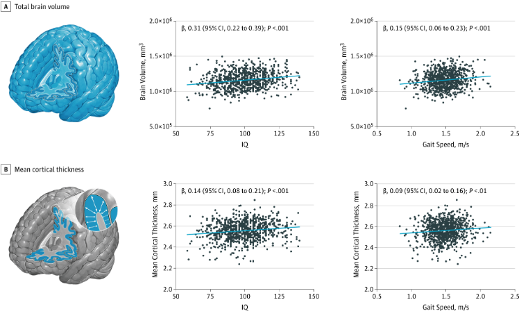 The Science of Fast Walking: Unlocking Your Body and Mind